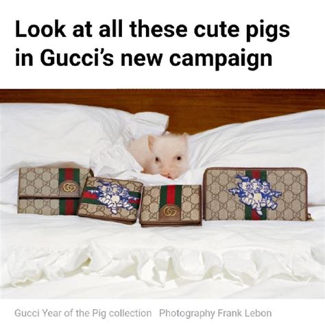 gucci little piggy meaning|this little piggy went to gucci.